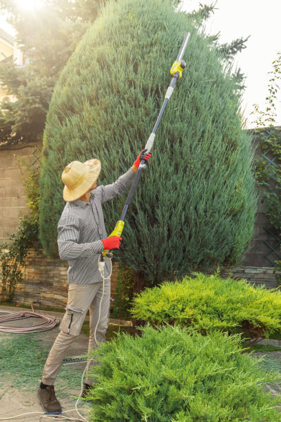 Best Soil Testing and Treatment  in Groves, TX